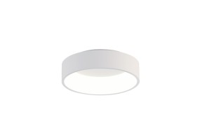 Lubinis šviestuvas DILGA WHITE 45